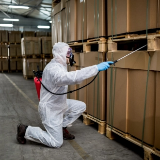 A Simpla Dedetizadora oferece controle de roedores e desratização no Rio de Janeiro, eliminando ratos, camundongos e ratazanas de forma segura e eficiente. Utilizamos produtos modernos e técnicas avançadas para proteger sua casa, empresa ou condomínio contra doenças e prejuízos causados por roedores. Com mais de 20 anos de experiência, garantimos um ambiente saudável e livre de pragas. Entre em contato agora mesmo e livre-se dos roedores de forma definitiva!