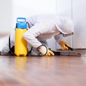 Controle de cupins e descupinização profissional no Rio de Janeiro - Simpla Dedetizadora